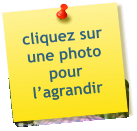 cliquez sur une photo pour l’agrandir