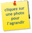 cliquez sur une photo pour l’agrandir